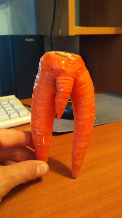 Просто прикол