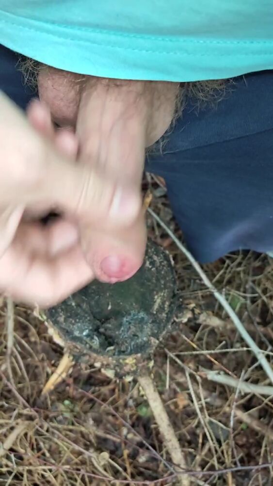 Захотелось дрочить в лесу)