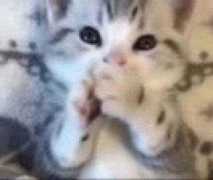 Личные видео