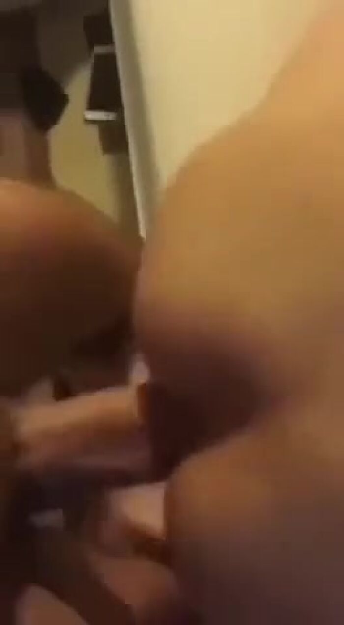 рабочие будни петушка