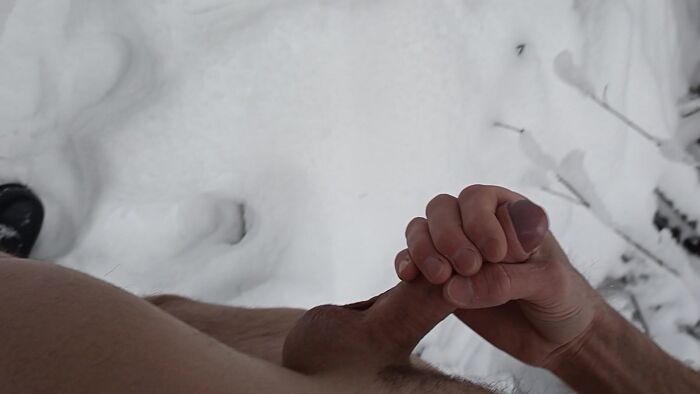 Утро в зимнем лесу