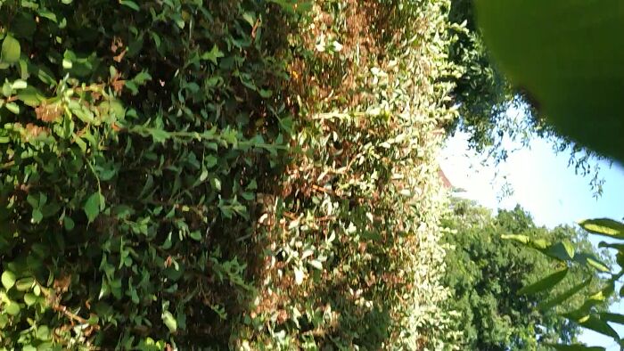 Найти бы ту которая оценит и поможет кончить.