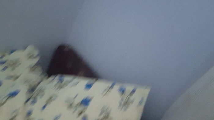 134zedfhj