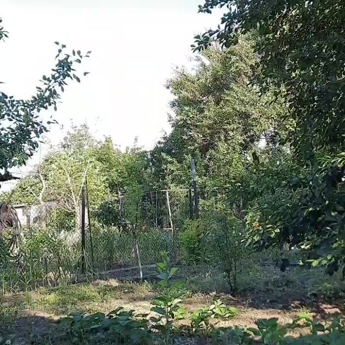 !!!!!!! Яяяяяя