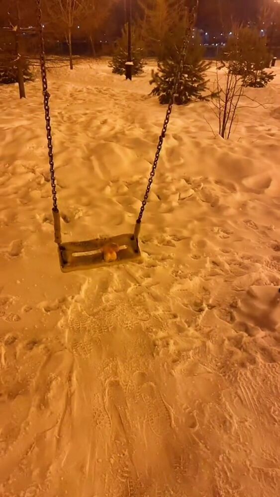 Крылатые качели