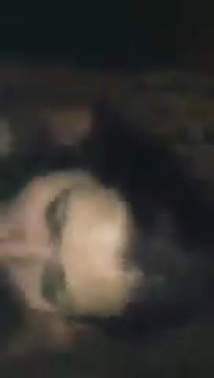 Личные видео