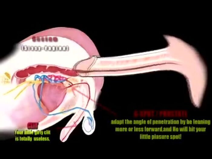Обучалочка