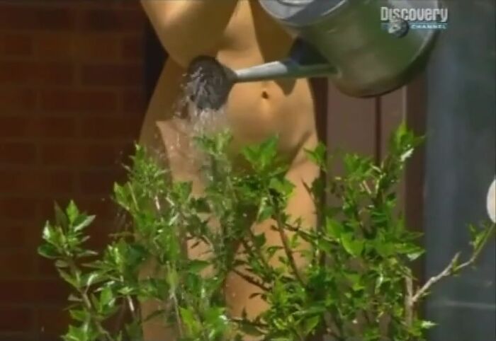 О Сексе. Обнажить Всё Sex Sense. Baring it All Discovery