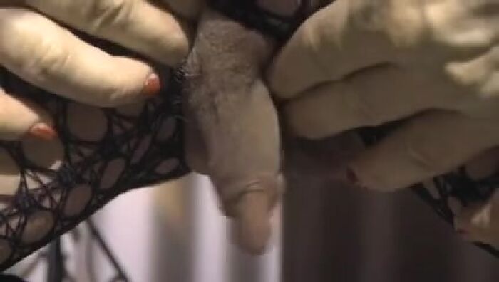 Мегаклитор!!!