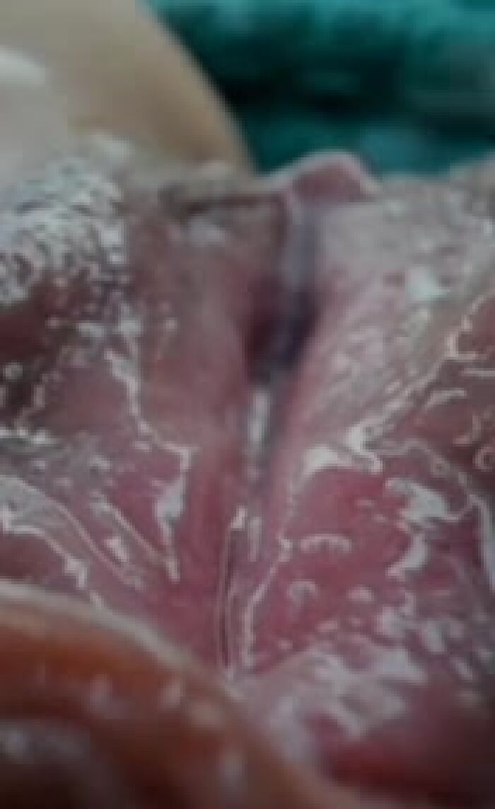 Лакомство люблю сосать