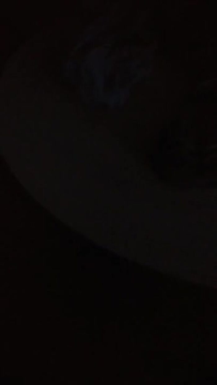 Зрелая ч мамбы