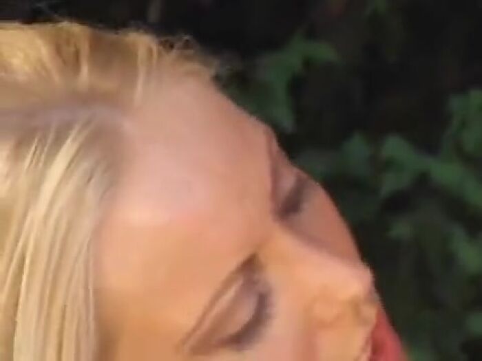 video wondertresures