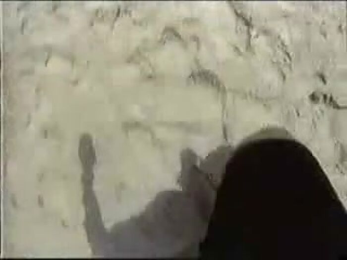 Сочные попки хотят член