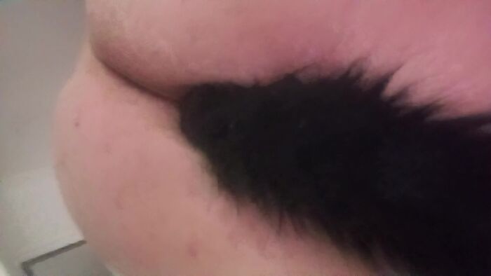 Красивый хвостик