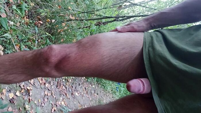 Прогулка в лесу)