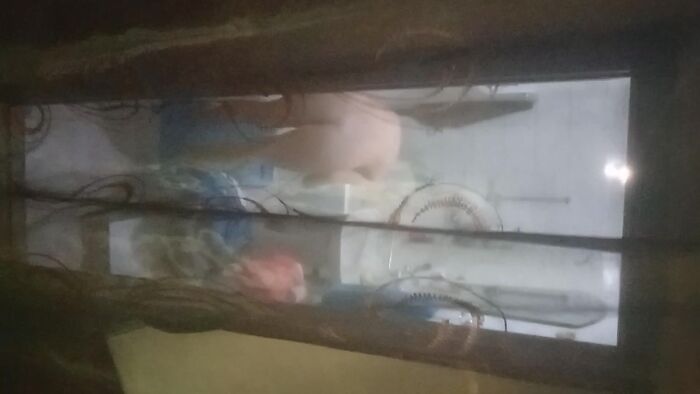 Намыла пизденку