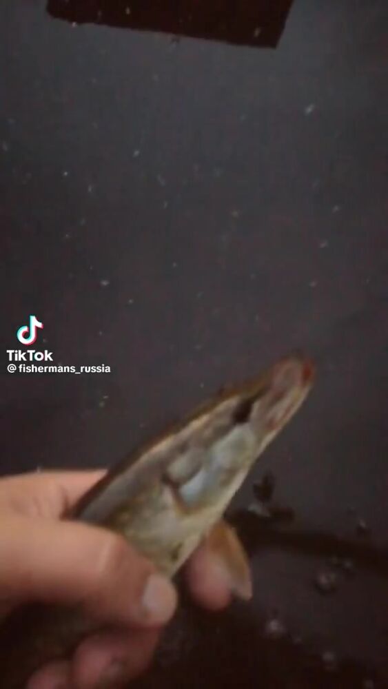 Личные видео