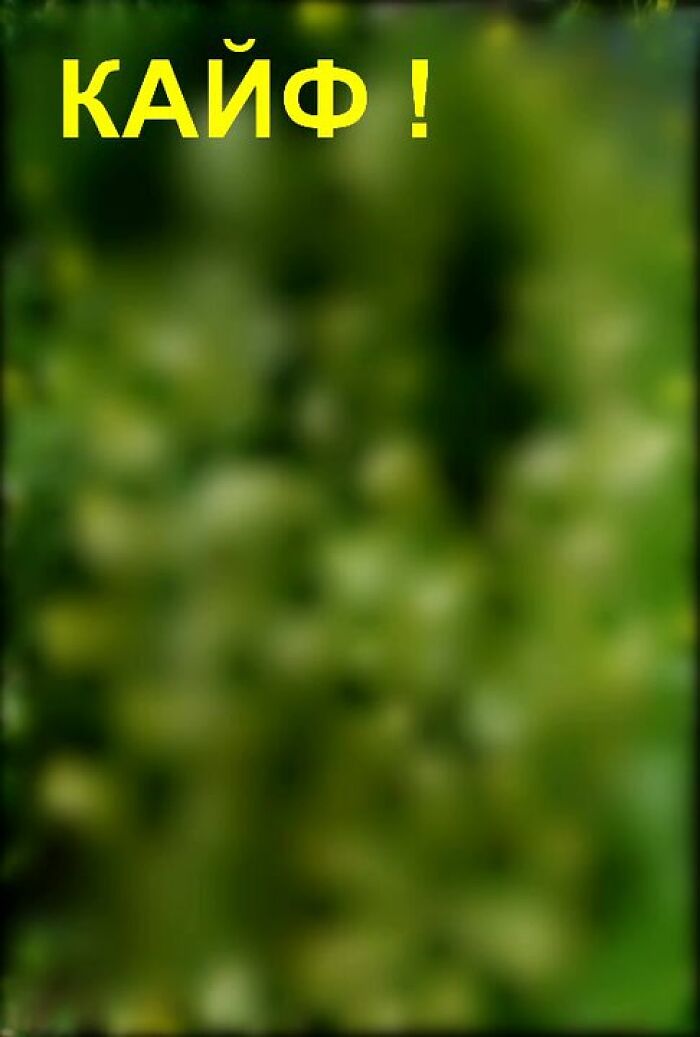 Кайф