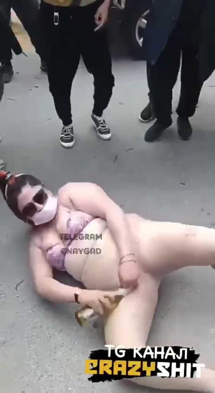 Чудит пухлая