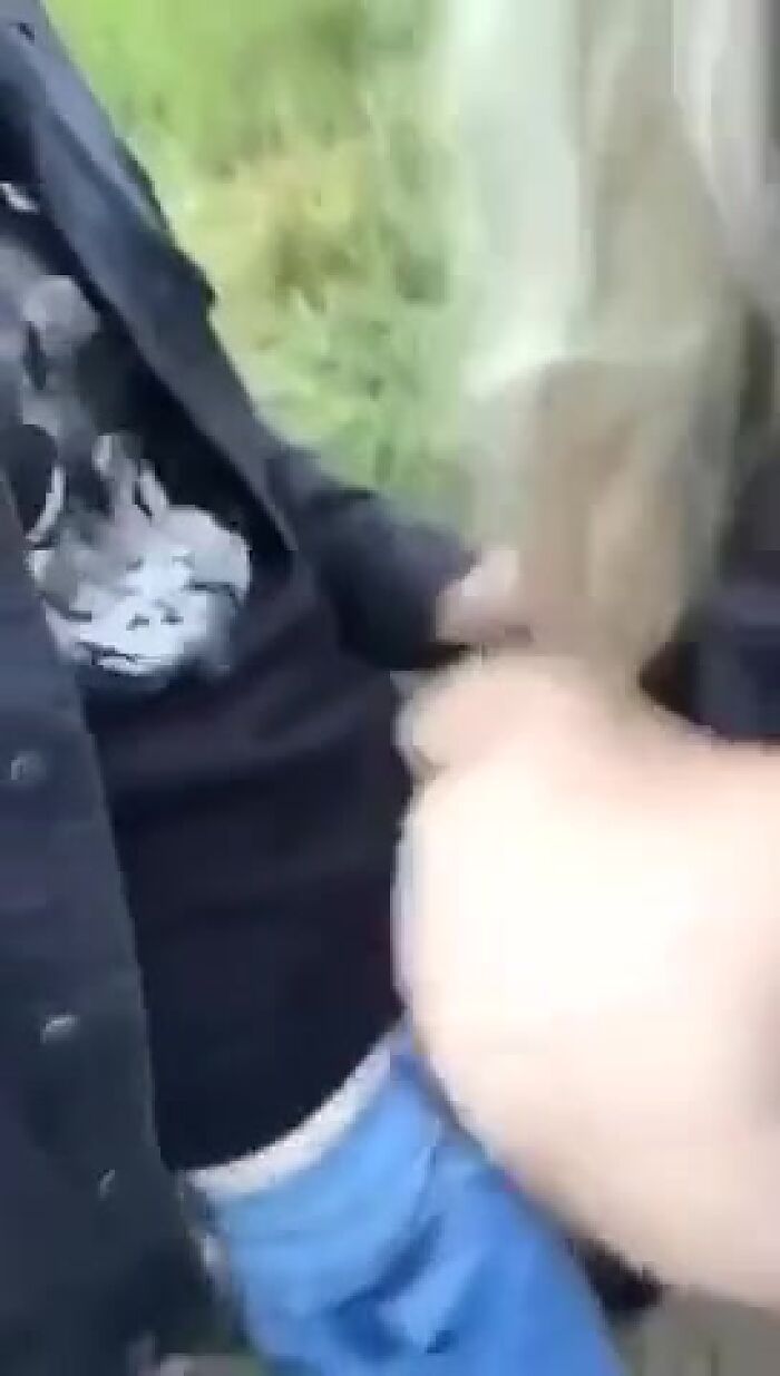 Провинилась