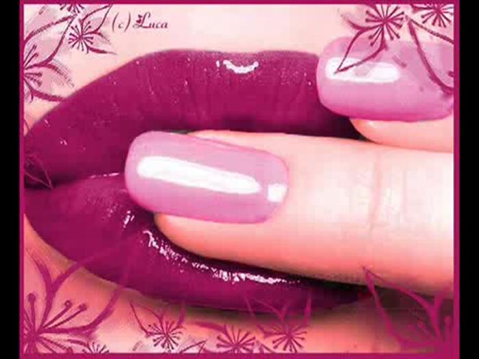 одинокая волчица