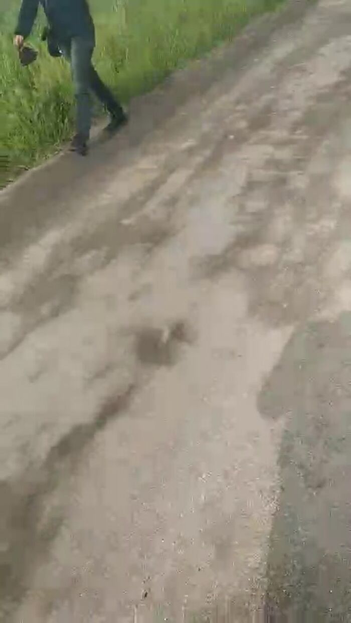 Нравится так очень!!! Для Госпожи