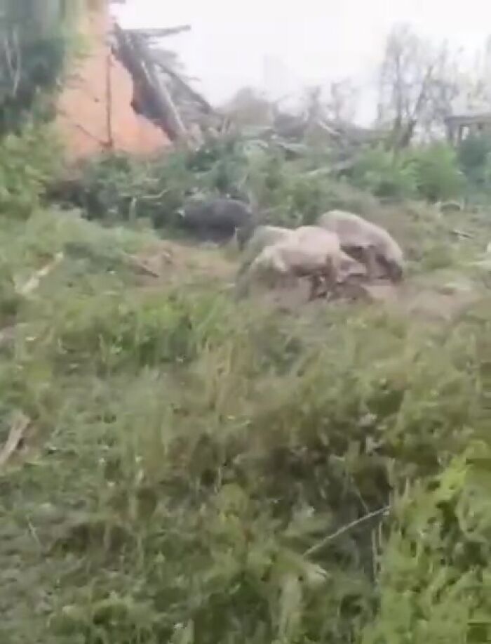 Личные видео