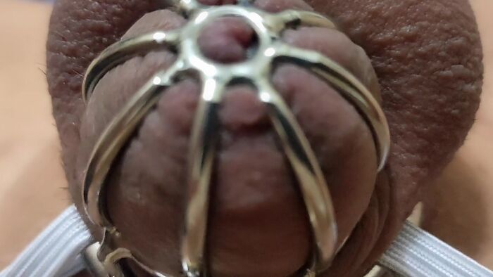 Кончаю в поясе