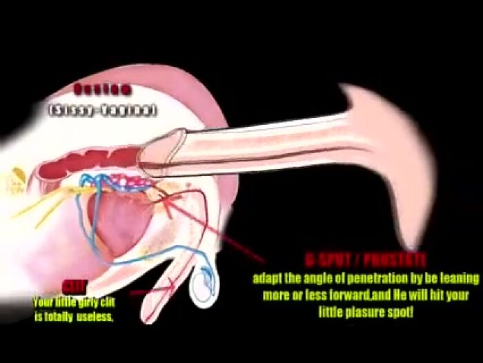 Инструкция к применению Шмелей