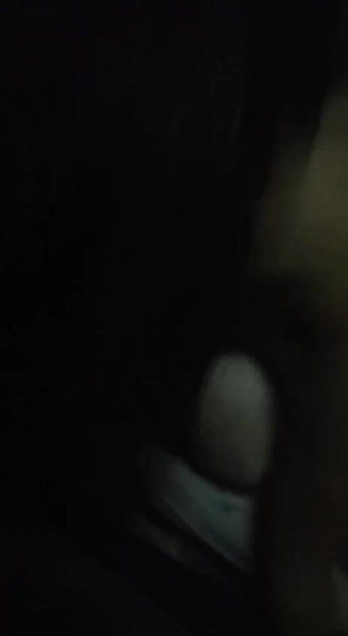 Сучка любит два