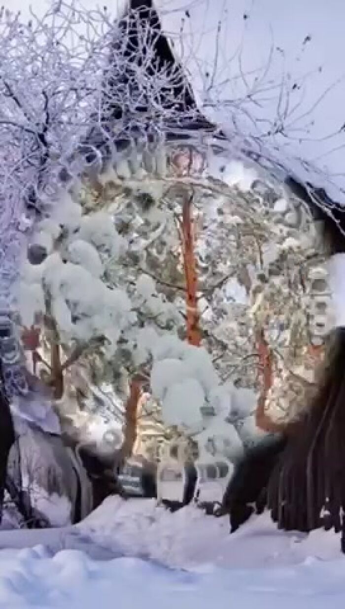 Шалави на снігу