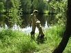 во все дырки на природе