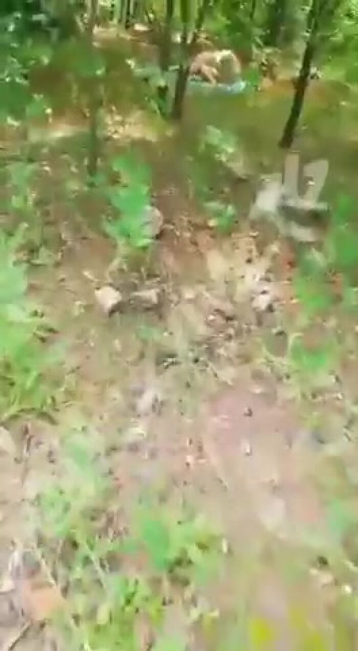 Прикол спалили