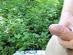 Зрелая женщина любит снимать на видео как я кончаю