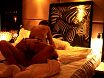 Секс В отеле на фоне зебры
