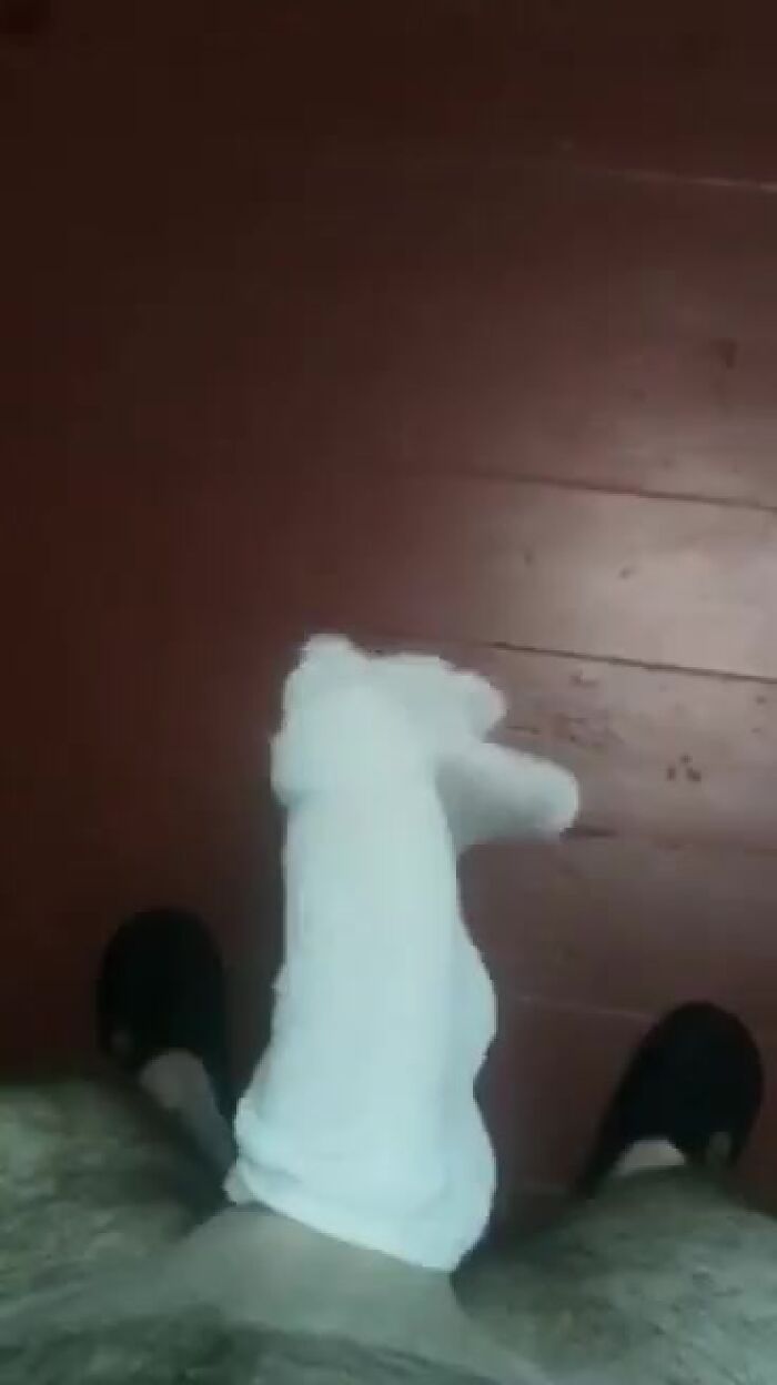 Личные видео