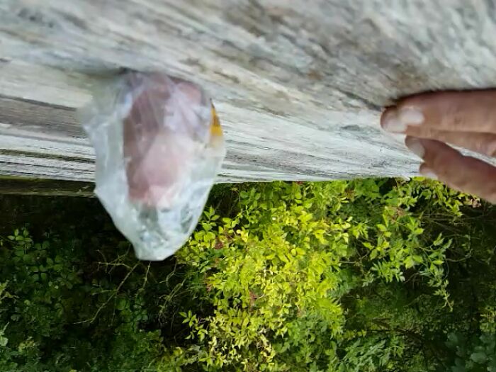 ...mydirtyhobby nature special