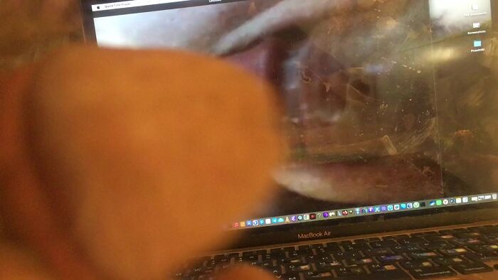 Страстно дрочит пизду фаллосом