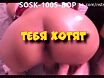 Потешное