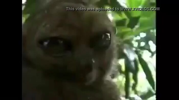 Мужской взгляд)