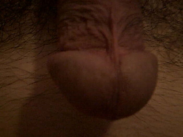 Волосатый хуй.