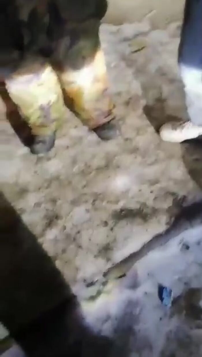 Наболдажник