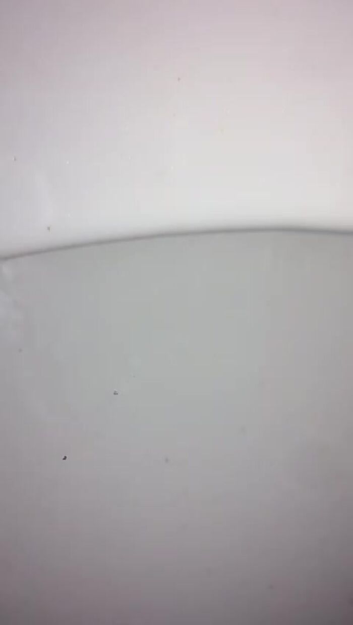 Писечка писает