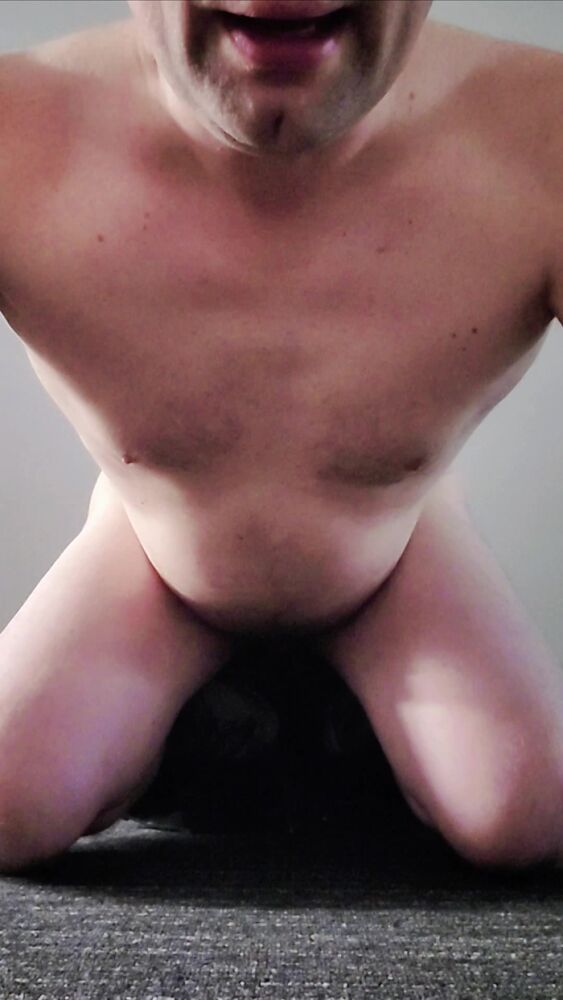 Сучка рачком