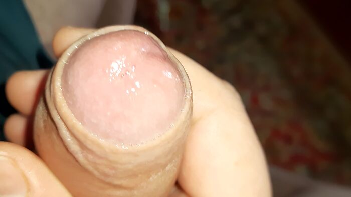 Членвсмазке