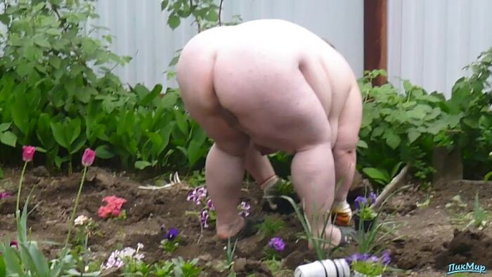 demo_Посадка цветов(Любителям пышек предлагается)