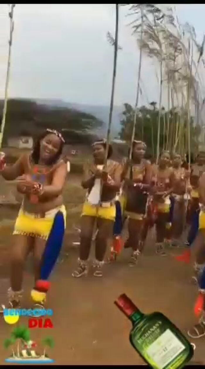 Негры, сиси, писи. )))