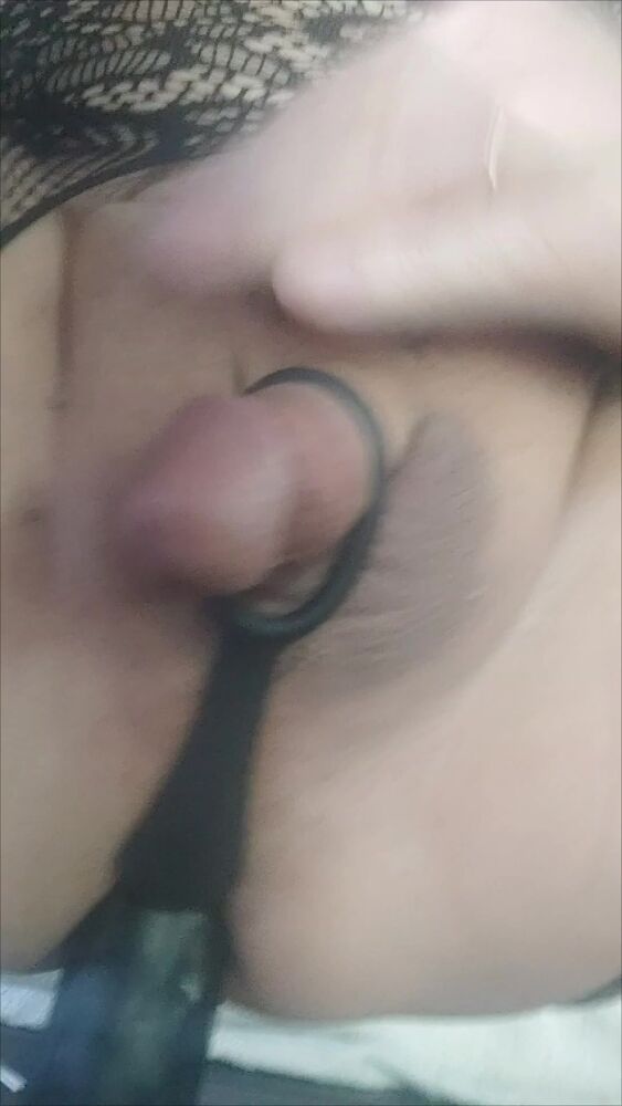 черный красавчик