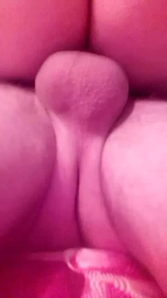 жопа сверху 2