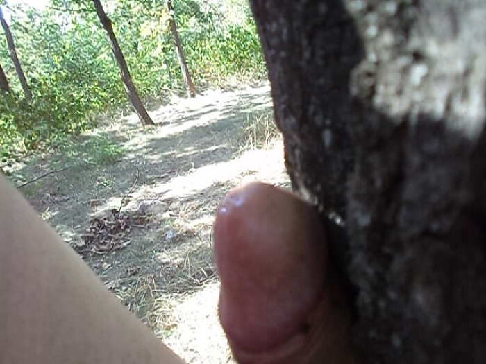 Наказание муравьями